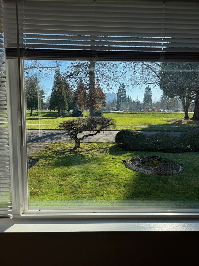 Building Photo - Charming 3 Bedroom, 1 Bath With Large Yard & Great Patio Space!