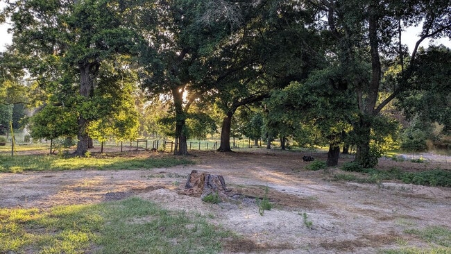 Building Photo - 1208 County Rd 315