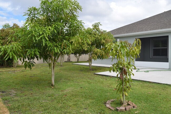 Building Photo - Gorgeous & Tropical 4 bedroom 3 Bath