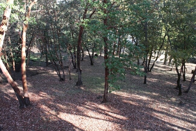 Building Photo - Wooded View Estate in Jacksonville