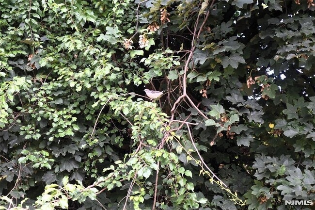 Building Photo - 129 Central Pl