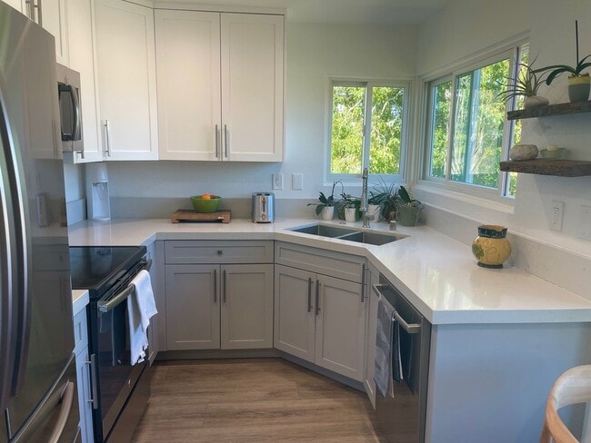 Building Photo - Great lake San Marcos Rental