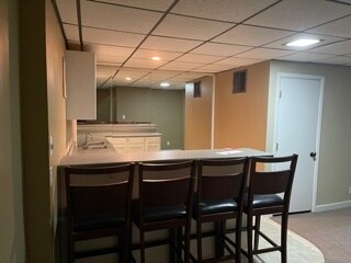 BASEMENT BAR AREA - 2910 Tree Swallow Rd