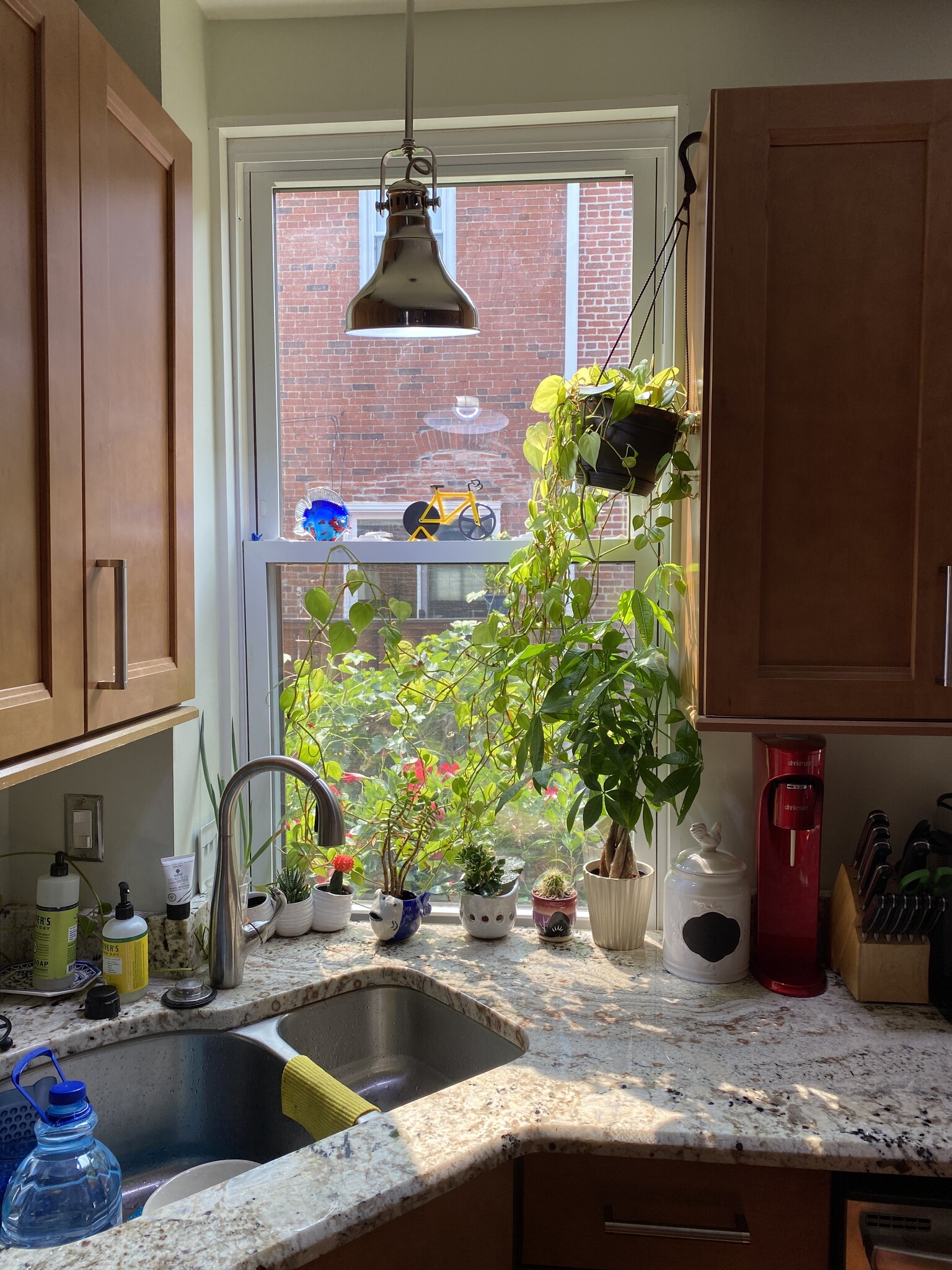 Kitchen - 174 Cotton Way