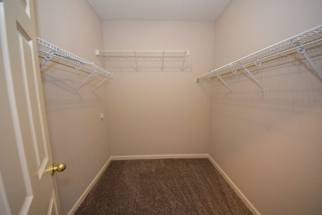 Building Photo - Great 3 bed, 2 bath home in Cordova with w...
