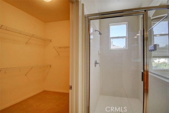 Building Photo - 5 Woodspring Cove