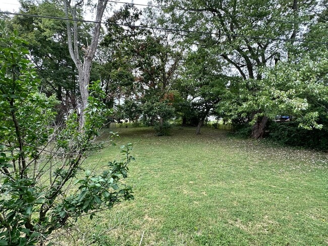 Building Photo - Duplex Townhouse with Huge Yard! Pet Friendly! Close to the Lake!