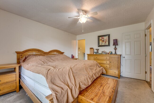 Building Photo - Beautiful 5 bed, 3 Bath House in Central Fort Collins!