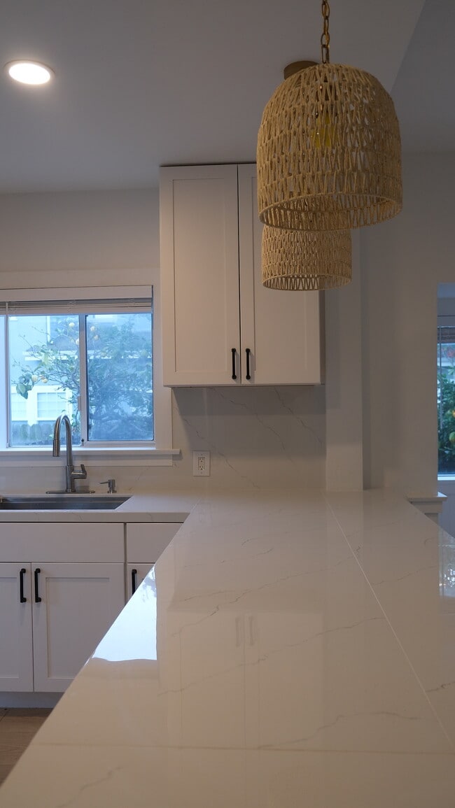 Building Photo - 509 Coronel Pl