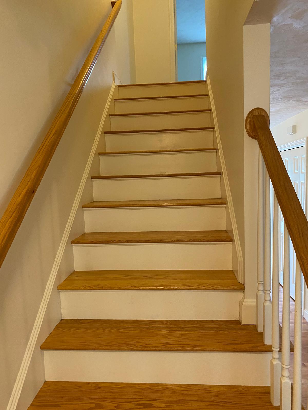 Staircase - 67 Princeton St