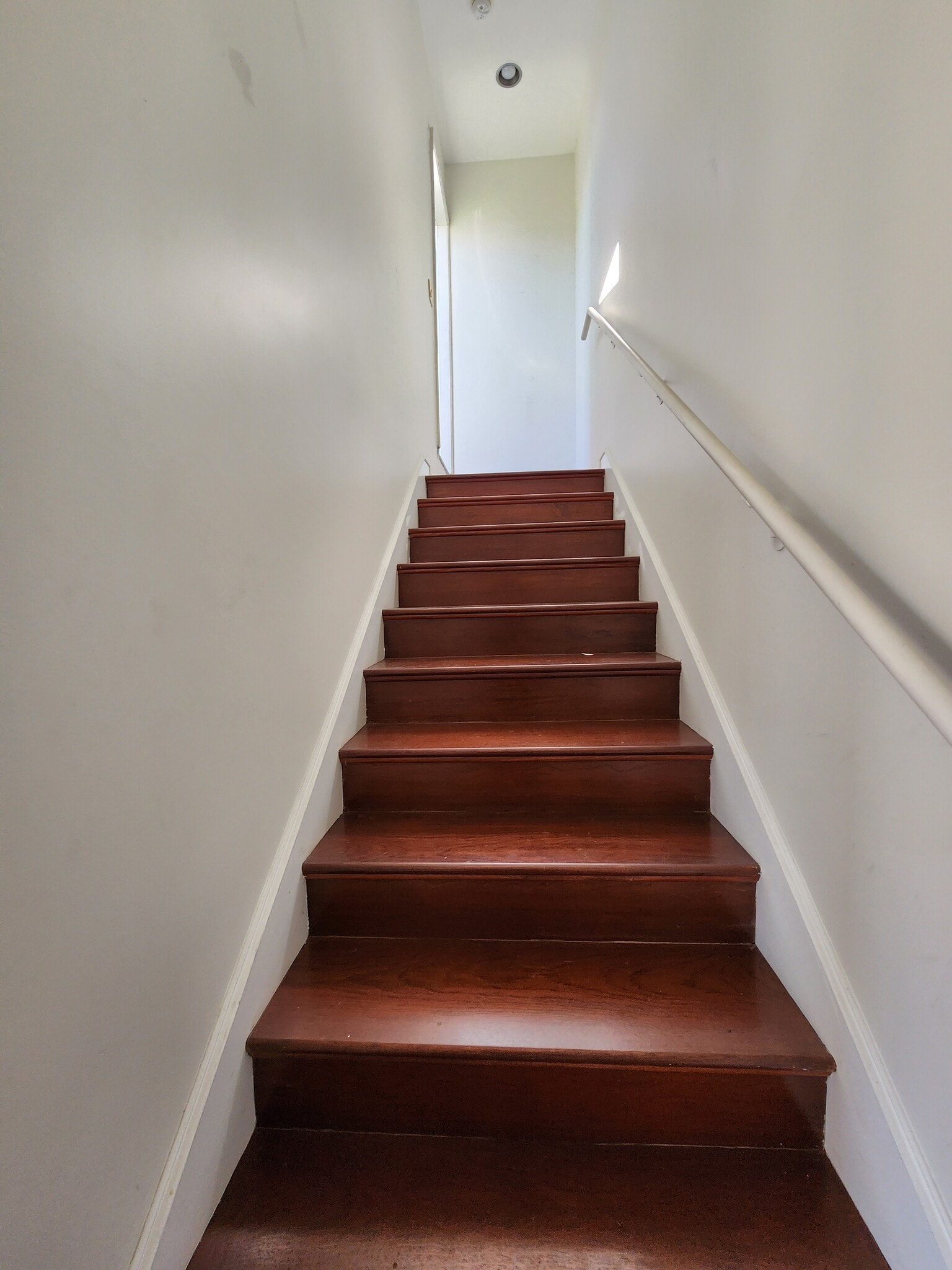 Building Photo - 10389 Almayo Ave