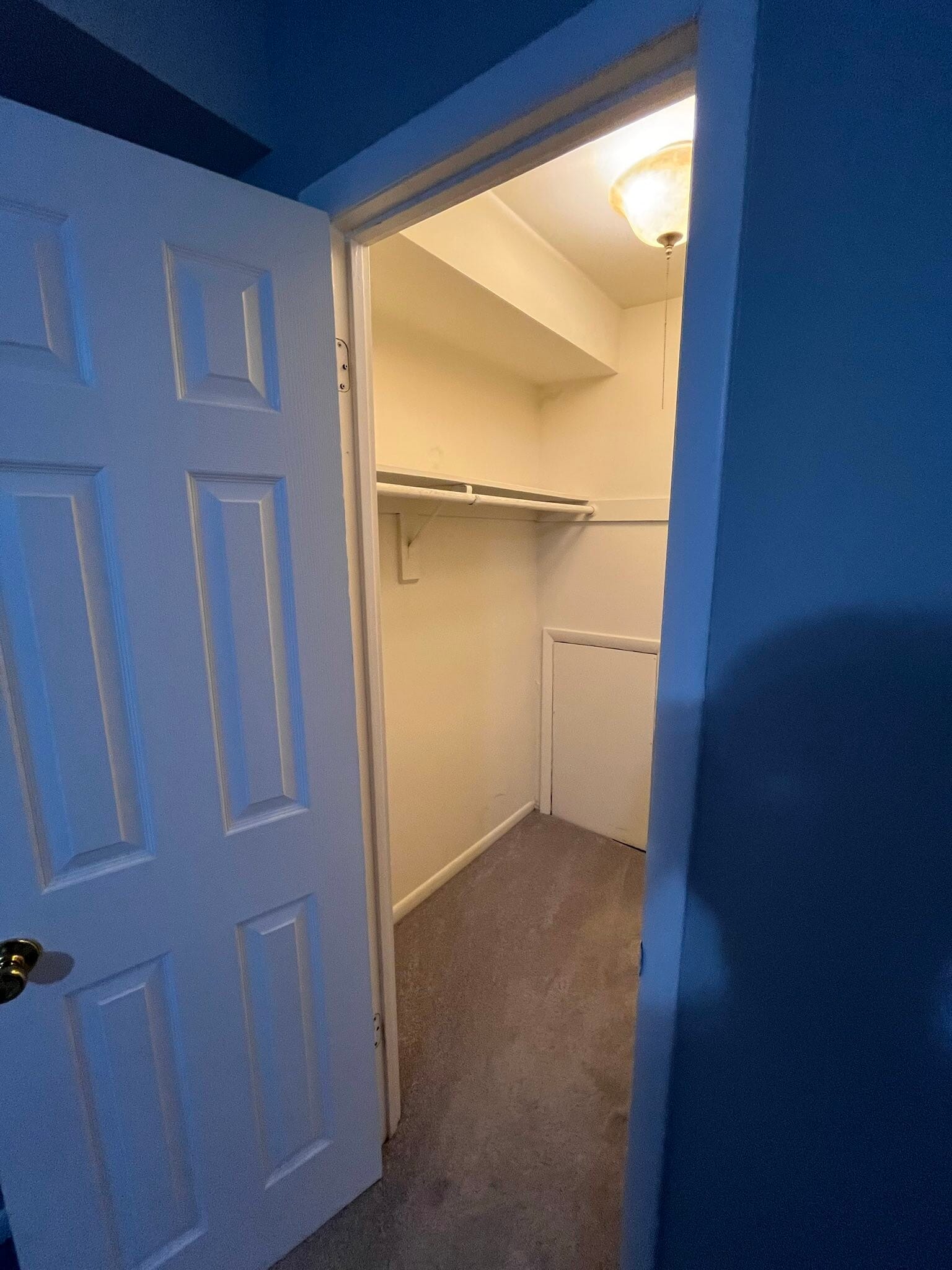 Walk-In Closet - 3304 Woodburn Village Dr
