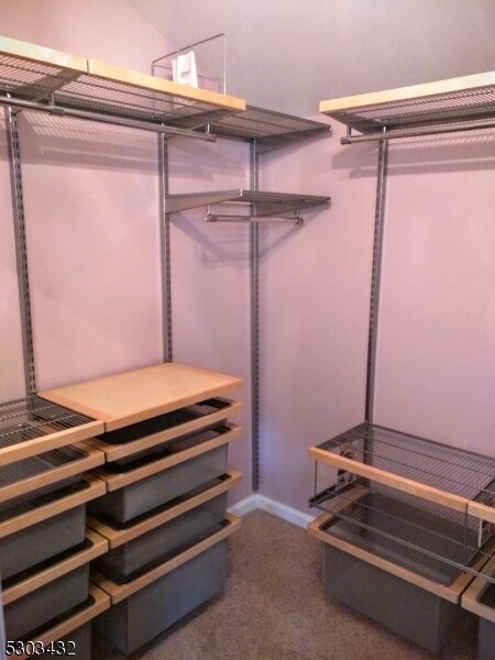 Building Photo - 1503 Meadow Brook Ct