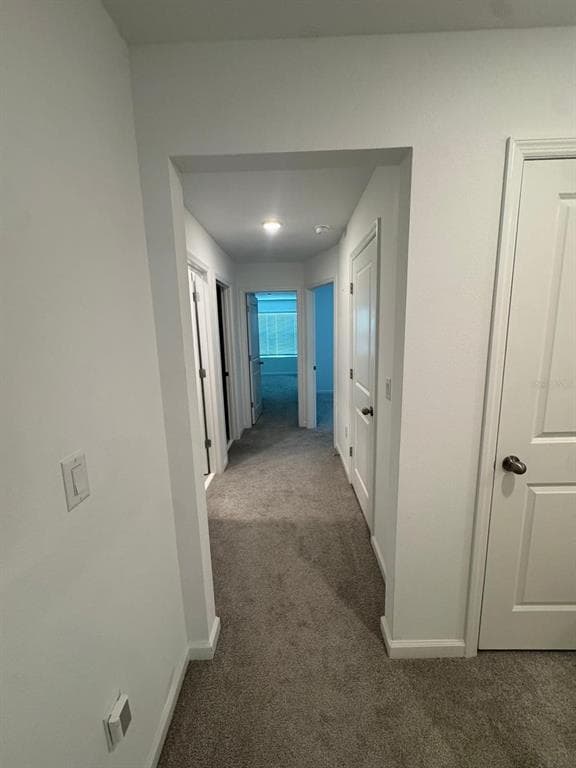 Building Photo - 950 Spring Palms Lp