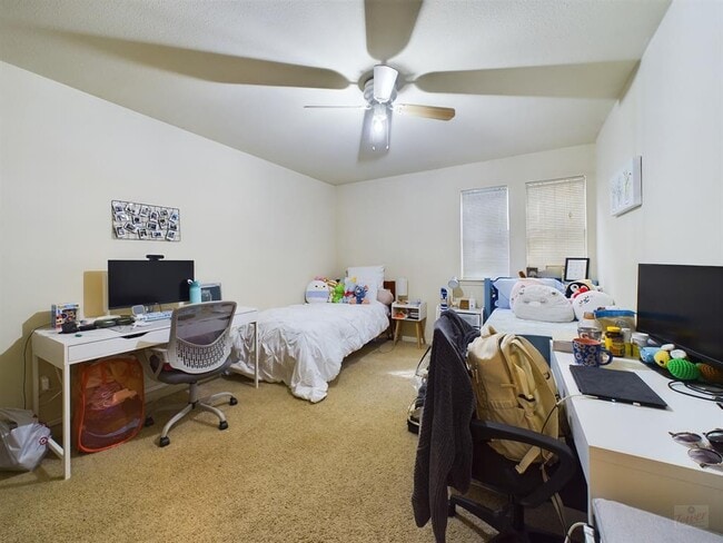 Building Photo - 2529 Rio Grande St