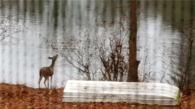 Building Photo - 4225 Burns Heritage Trail