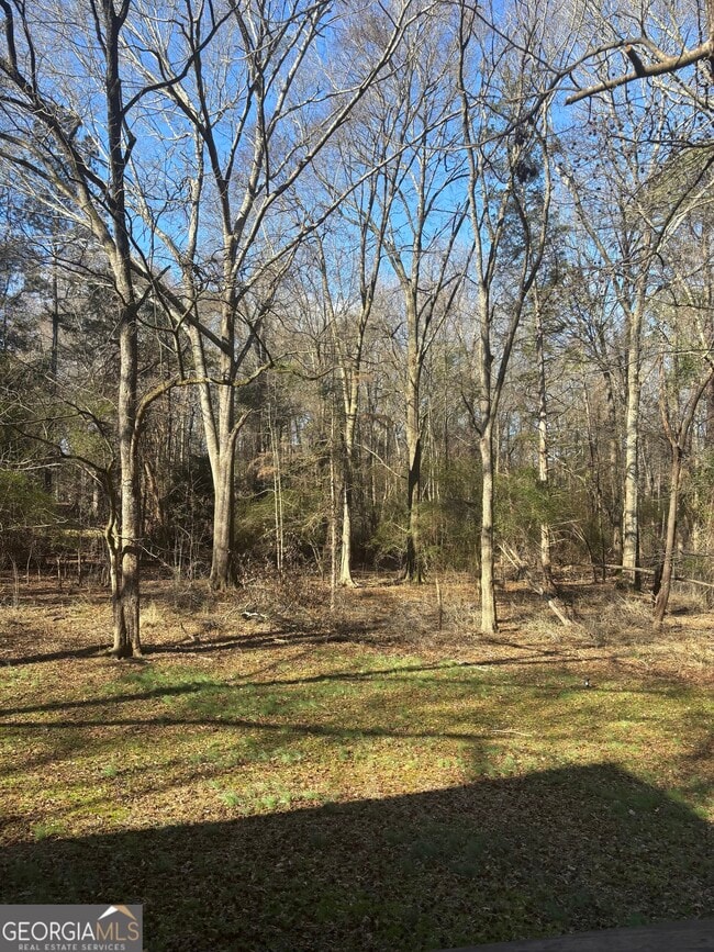 Building Photo - 256 Frederick Dr