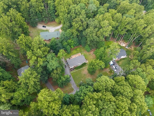 Building Photo - 344 White Mule Ln