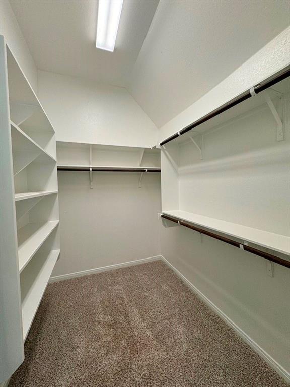 Building Photo - 5115 Leaning Tree