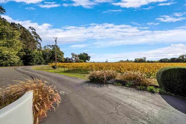 Building Photo - 1041 Las Amigas Rd