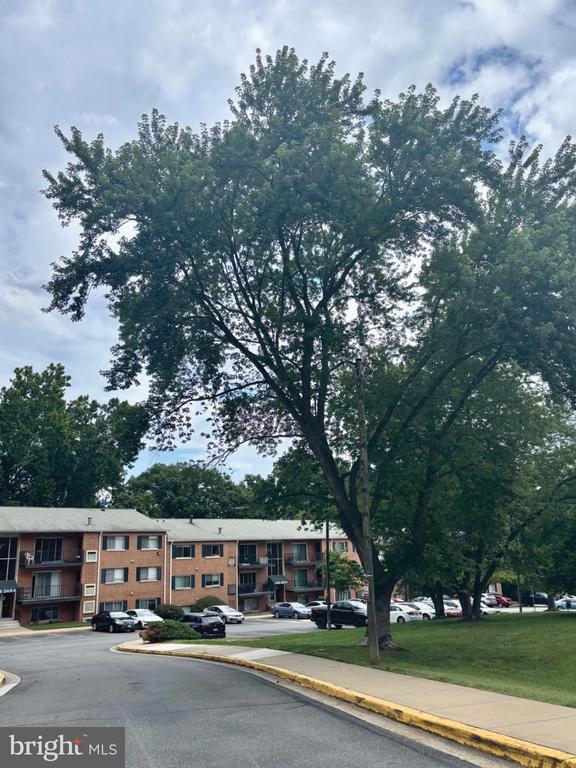 Building Photo - 12652 Dara Dr