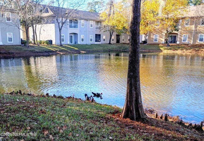 Building Photo - 6106 Maggies Cir