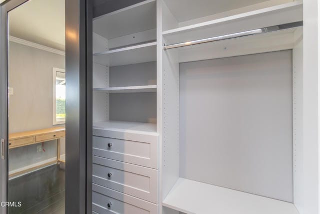 Building Photo - 481 Starlight Crest Dr