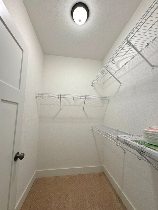 Building Photo - BEACH HOME! 4/4.5 with 3 car garage