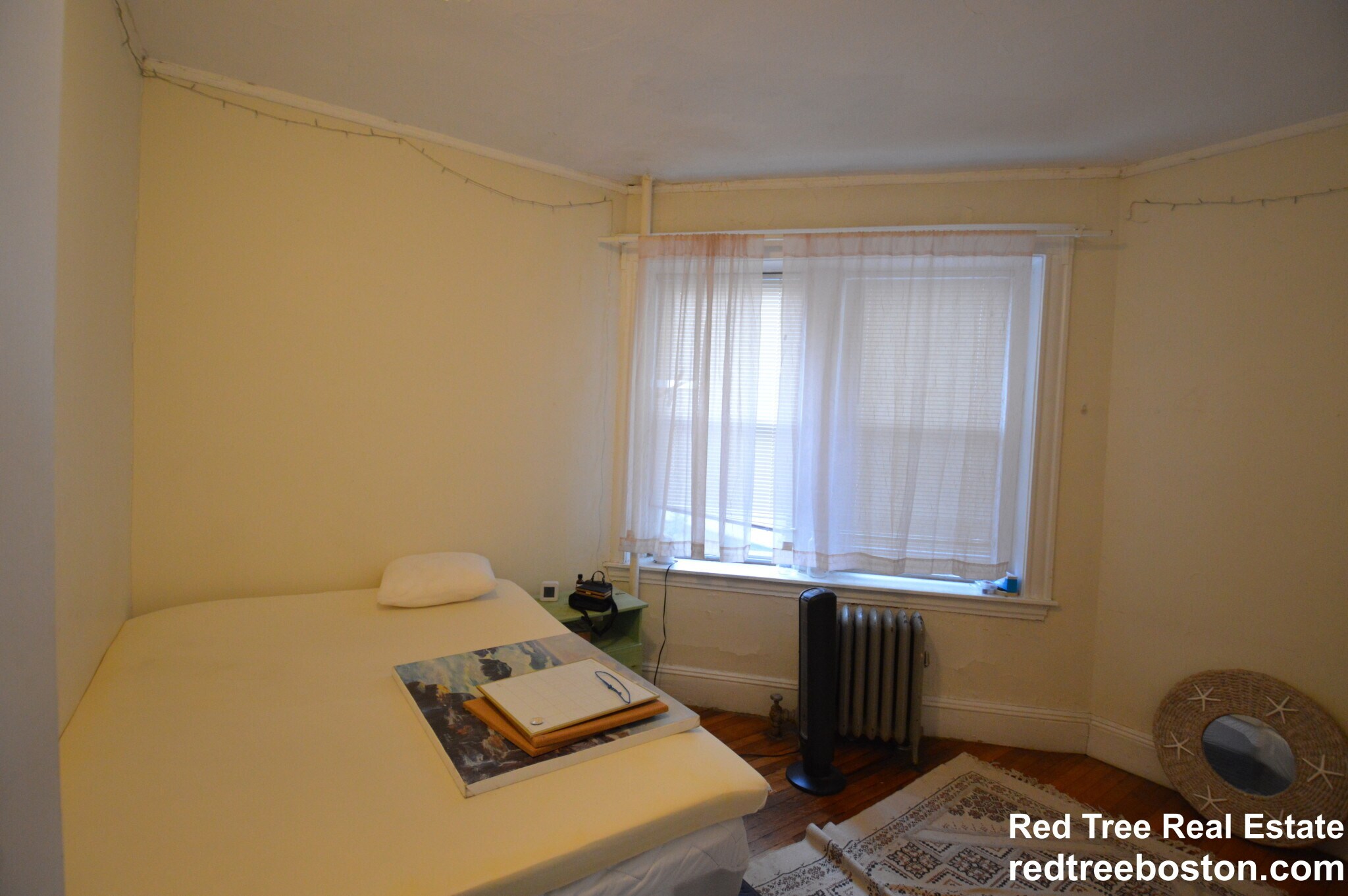 Building Photo - 56 Egmont St