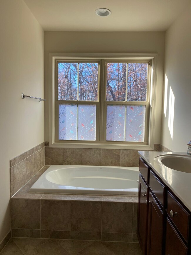 master bath tub - 23347 Tradewind Dr