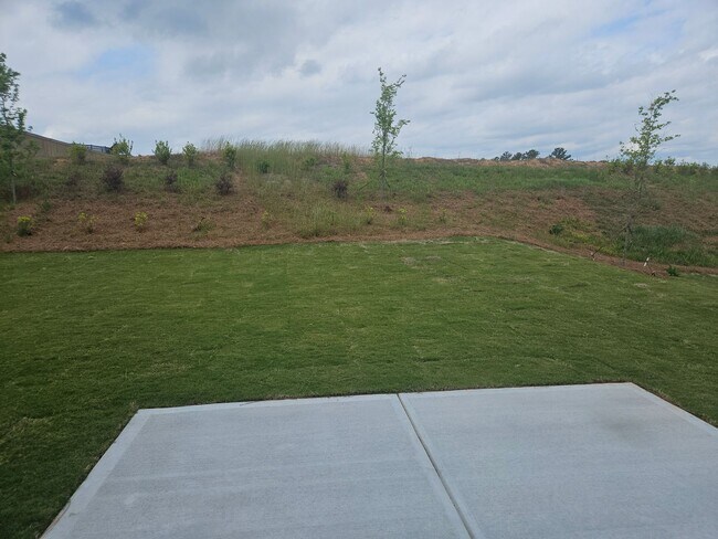 Building Photo - New 5 Bedroom 3 Bath House For Lease Dallas GA
