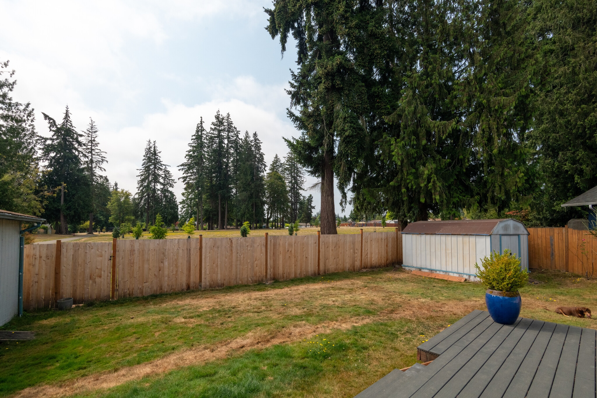 Private, fully-fenced yard - 4004 220th St SW