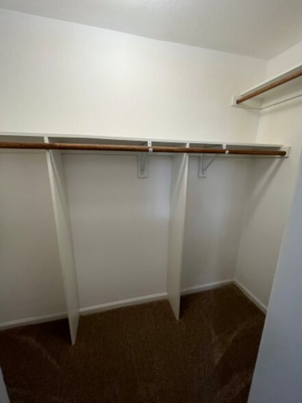 Building Photo - 2306 Wild Olive Ct