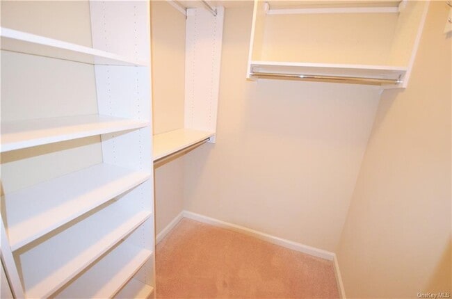 Building Photo - 203 Canter Ct