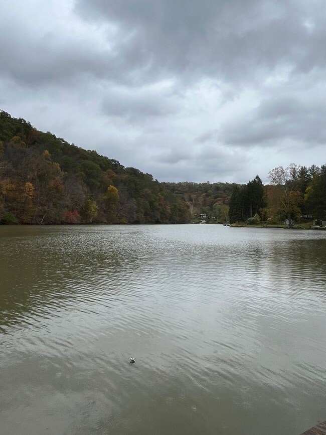Building Photo - Two Bedroom Home on Austin Lake
