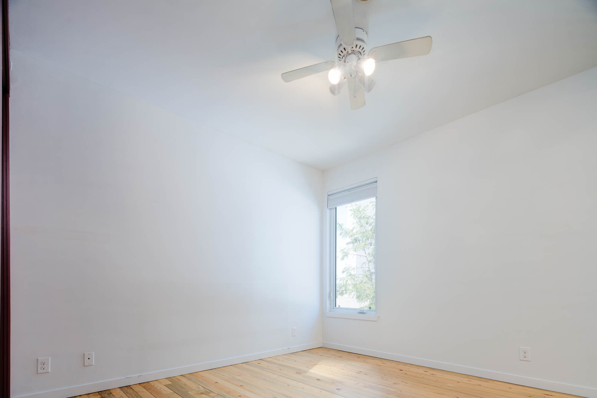Building Photo - 3513 Delgany St