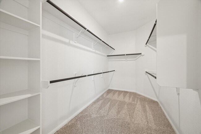 Building Photo - 10008 Deussen Ln