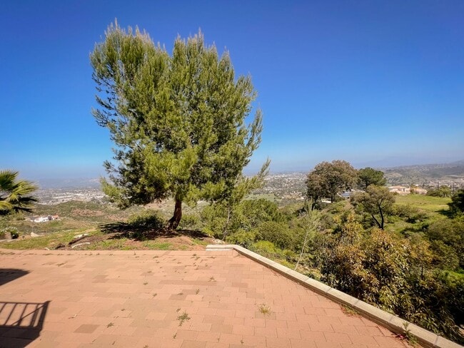 Building Photo - 913 Cycad Dr