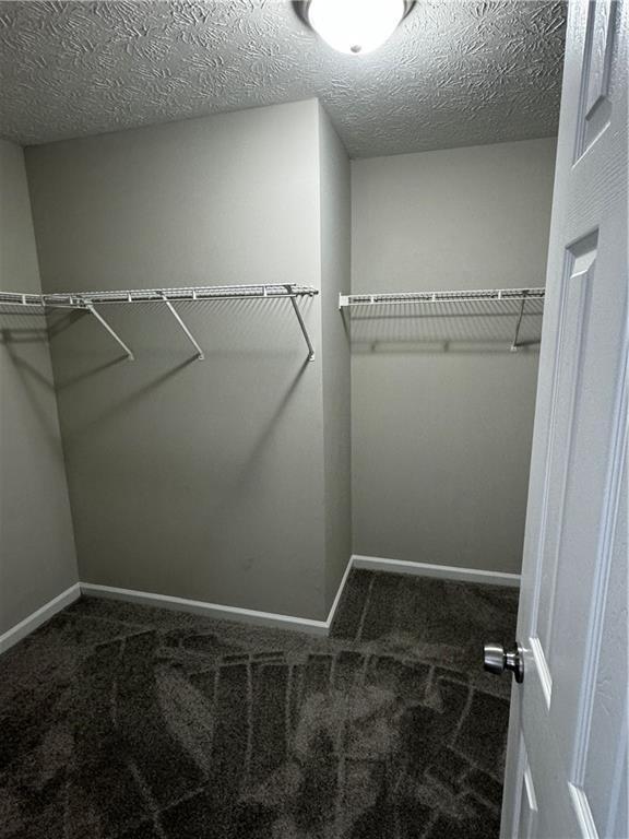 Building Photo - 2463 Meadow Spring Dr