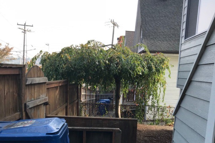 Building Photo - 1015 E Jefferson St