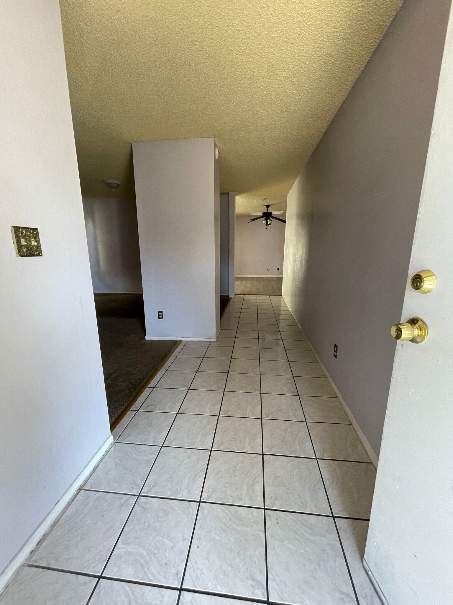 main hallway - 1271 Parkway Dr