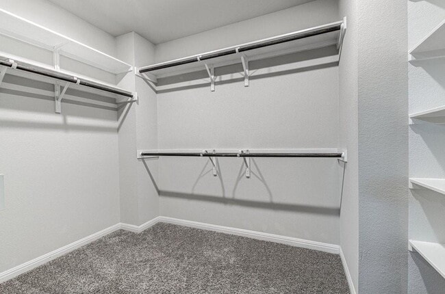 Building Photo - 159 Buckthorn Dr