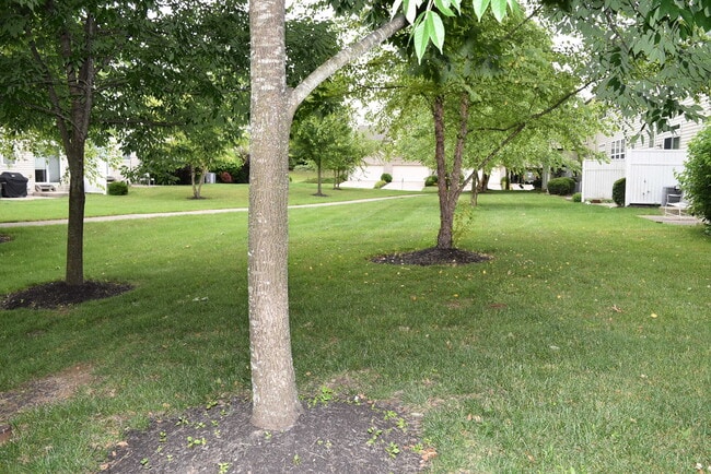 Building Photo - 3889 Thorngate Dr