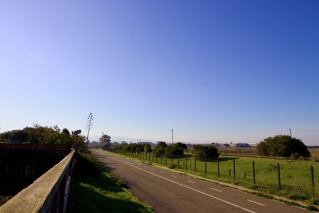 Building Photo - 1755 Tulane Ave