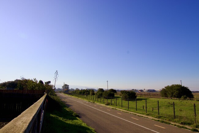 Building Photo - 1771 Tulane Ave