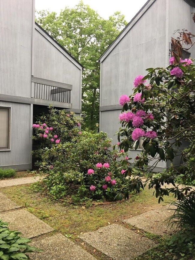 Building Photo - Little Eagle Bay and Little Eagle Bay Waterfront