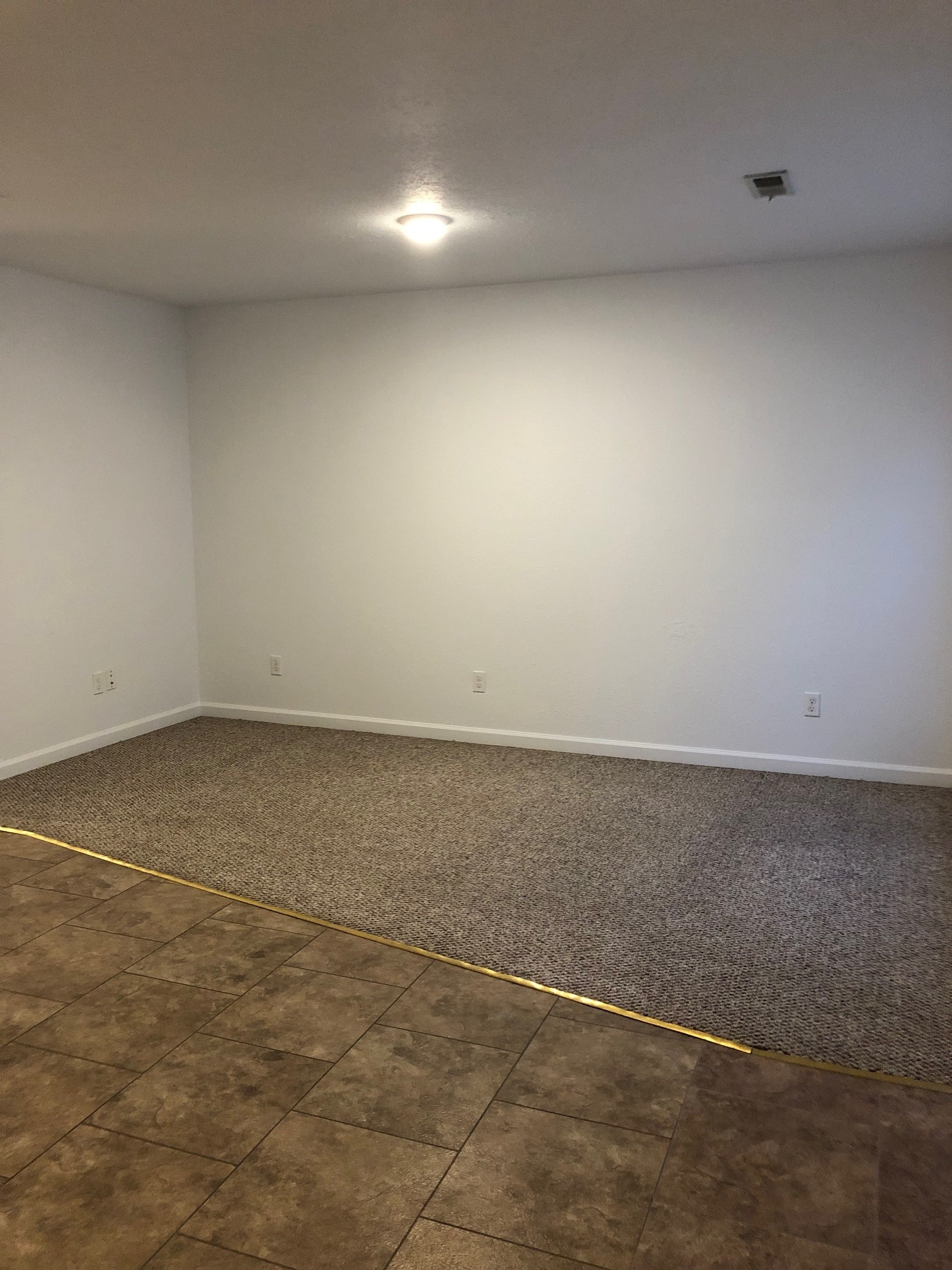 Living rool - 30 E. Lewis St.