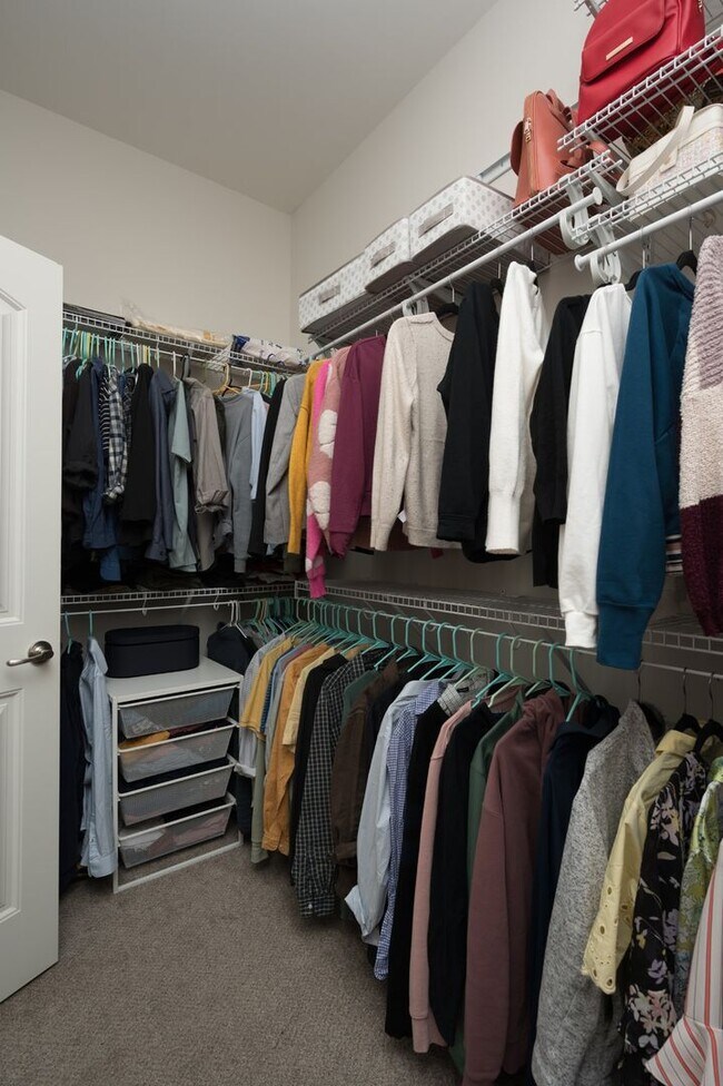 Building Photo - **LIKE NEW EXECUTIVE HOME IN A CUL-DE-SAC ...