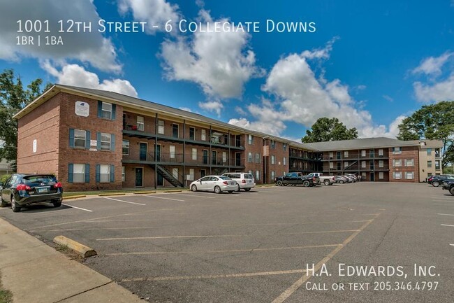 Building Photo - Collegiate Downs