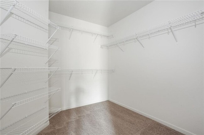 Building Photo - 1008 Riverdale Cove